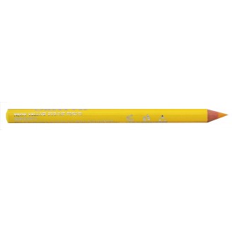 Saffron Neon Lip&Eye Pencil Yellow